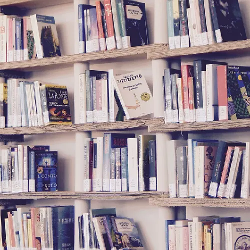 Bücherregal mit Büchern